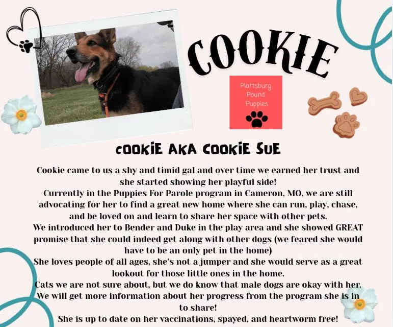 Cookie thumbnail 2