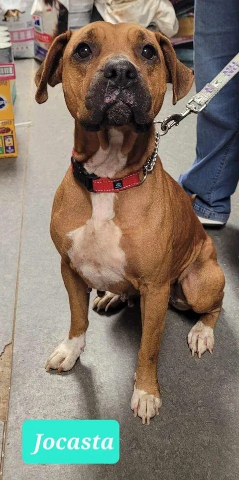 Jocastasponsored thumbnail 2