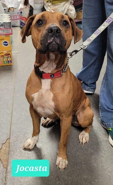 Jocastasponsored thumbnail 3