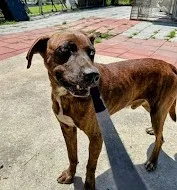 Conway Twitty thumbnail 2