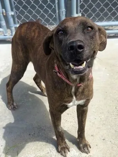 Conway Twitty thumbnail 6