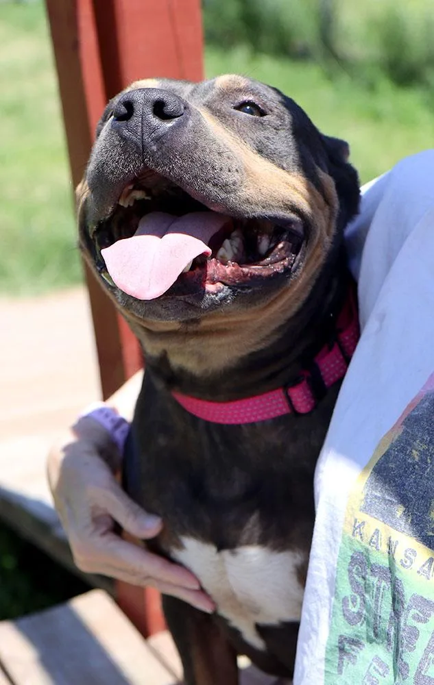Chloe thumbnail 4