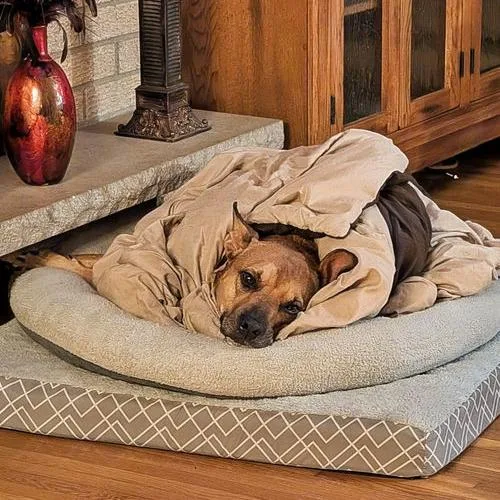Penny