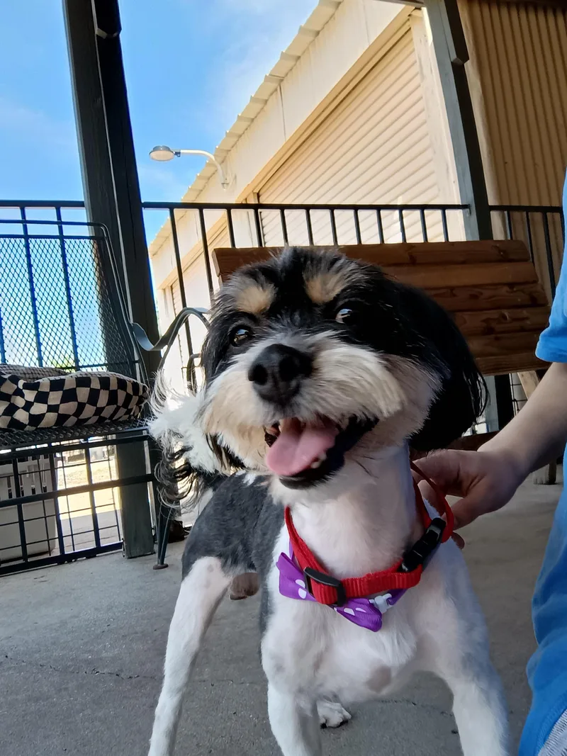 Izzy thumbnail 5