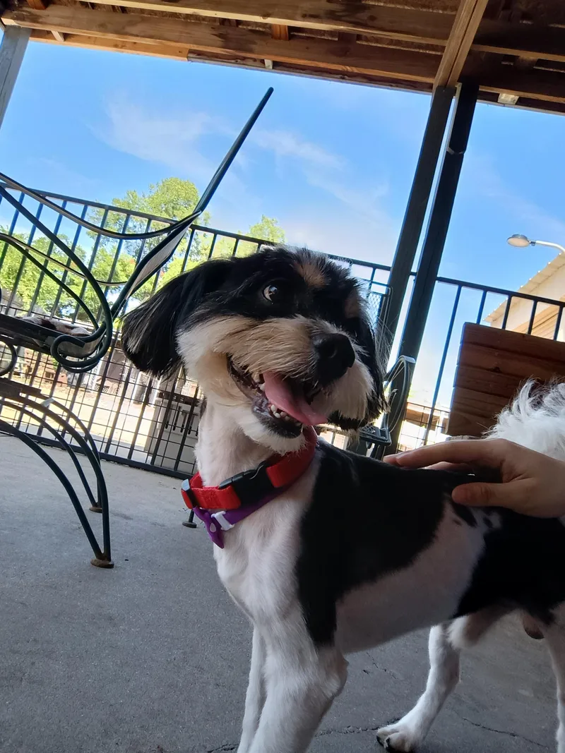 Izzy thumbnail 6