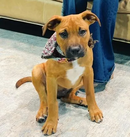 Parker $ thumbnail 3