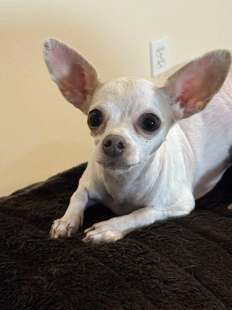 Mia Cloud thumbnail 3