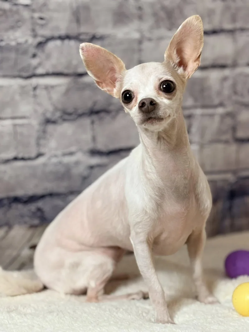 Mia Cloud thumbnail 6