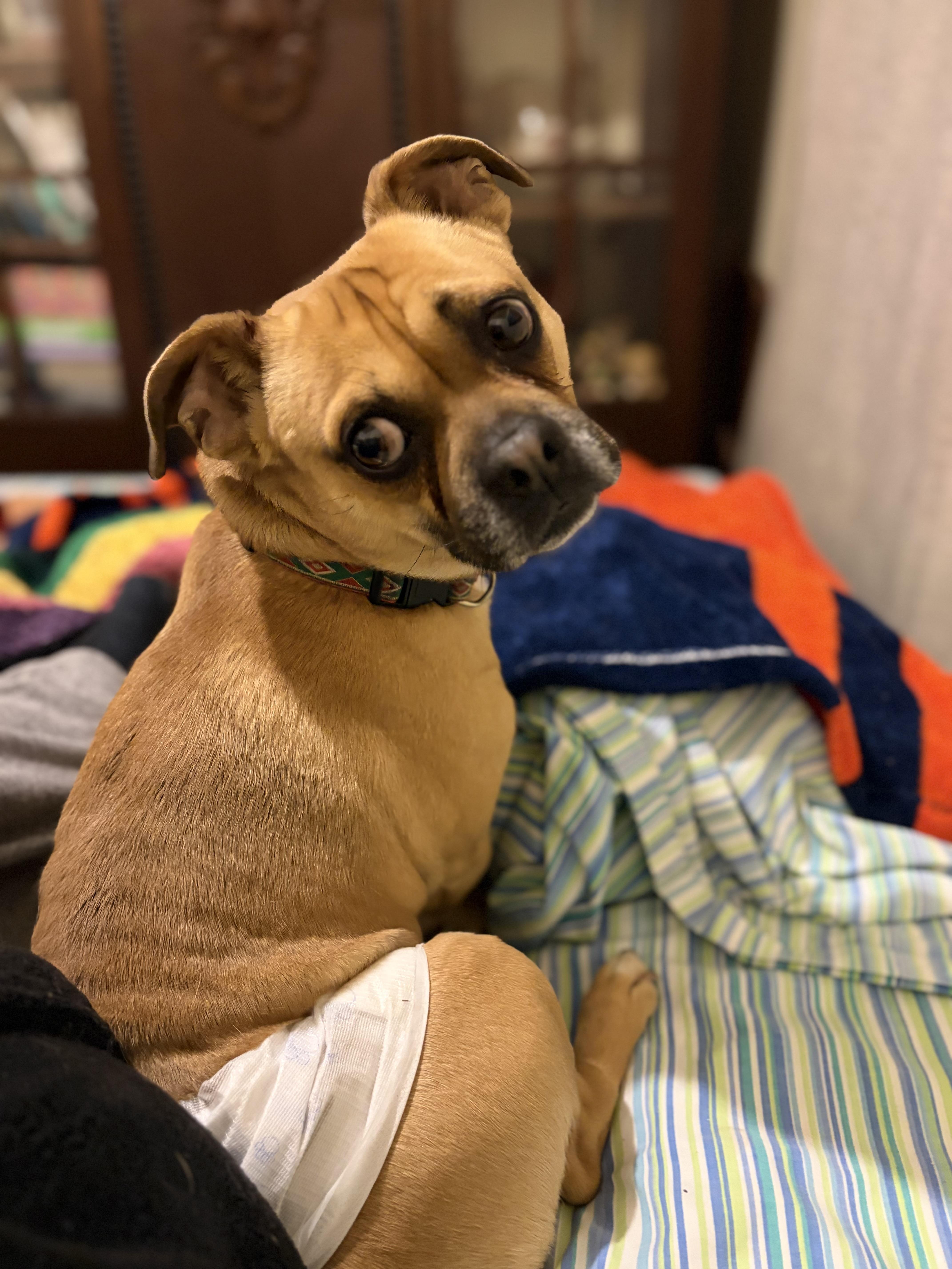 Carmelow thumbnail 2