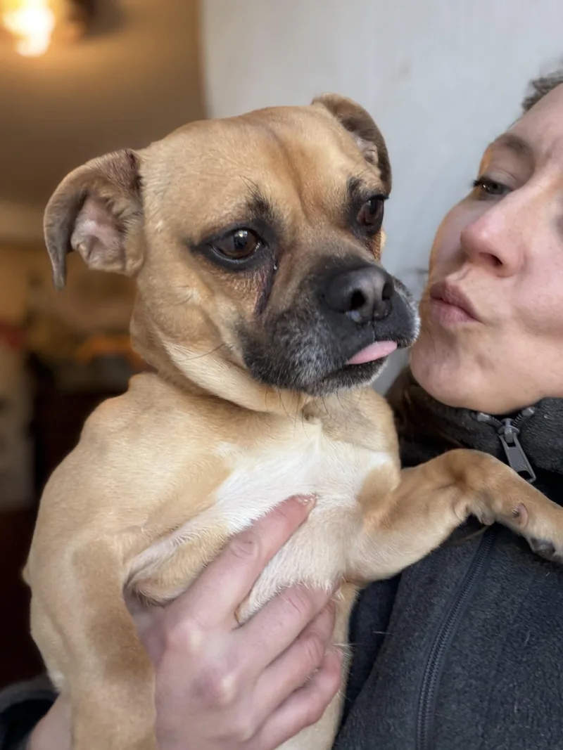 Carmelow thumbnail 3