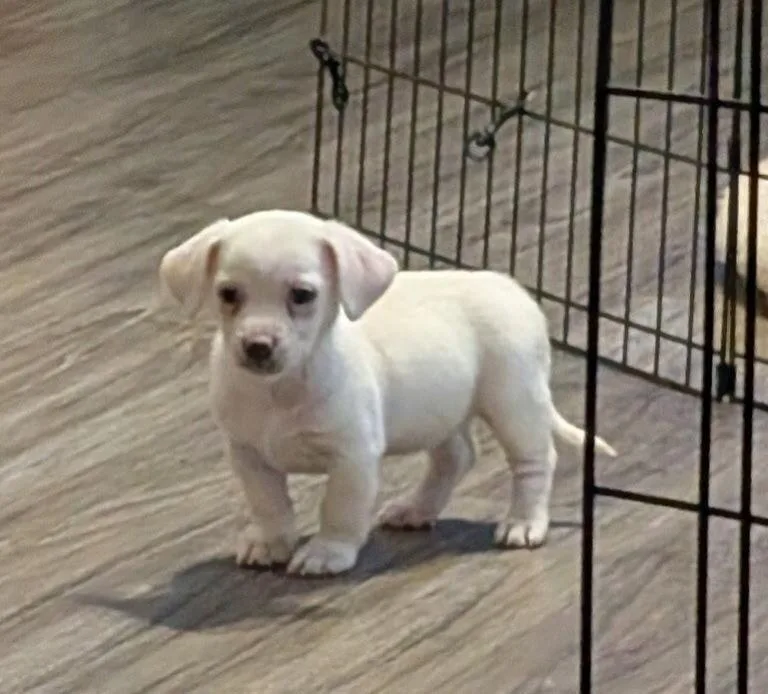 Sally Chi thumbnail 3