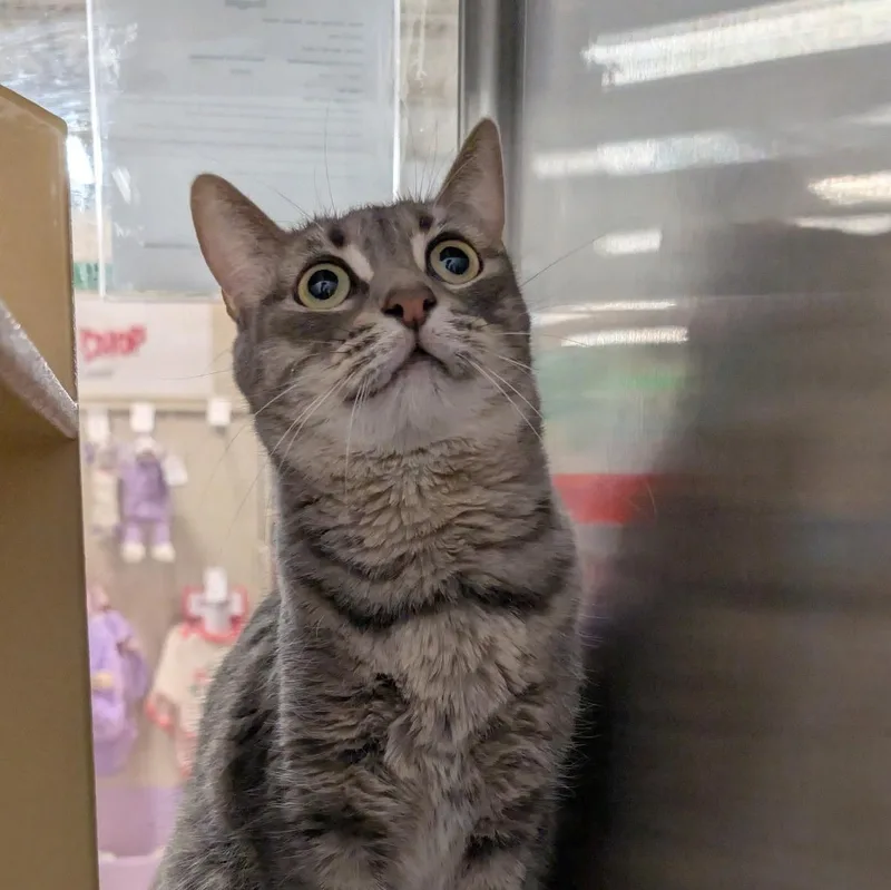 Snuggles thumbnail 2