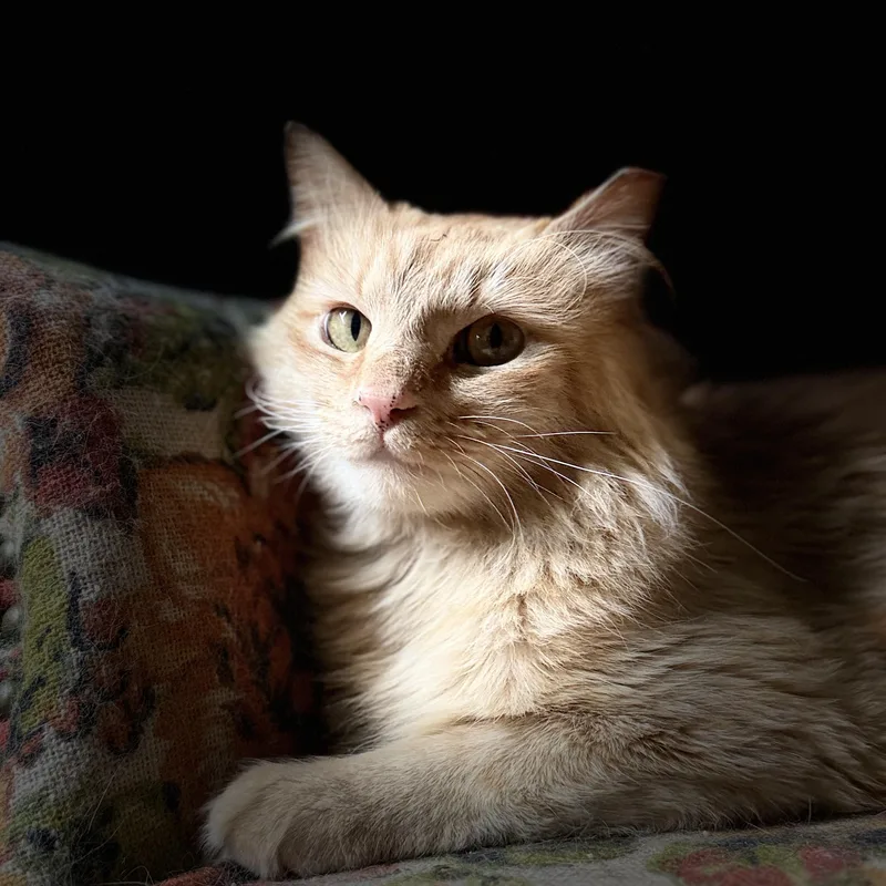 Mercury