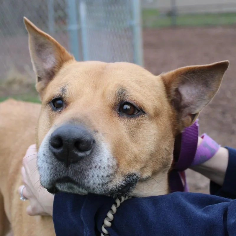 Tella Rose thumbnail 4