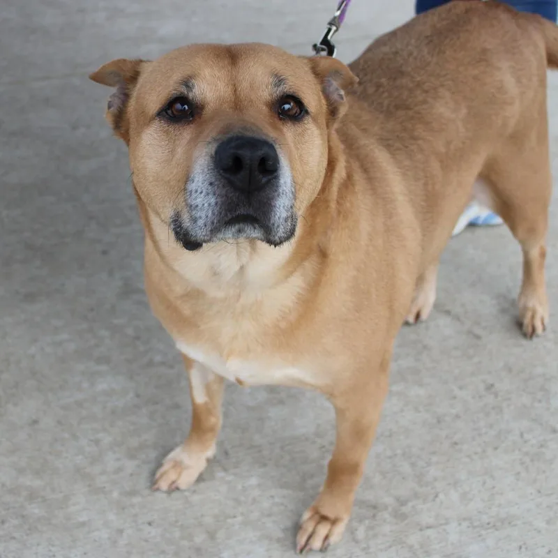 Tella Rose thumbnail 5