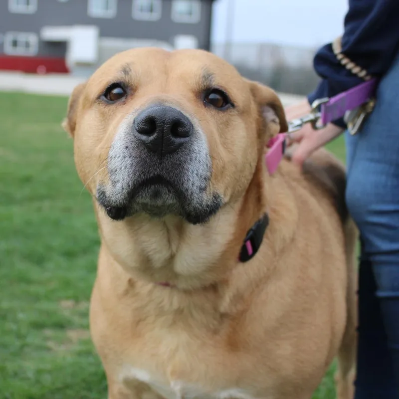 Tella Rose thumbnail 6