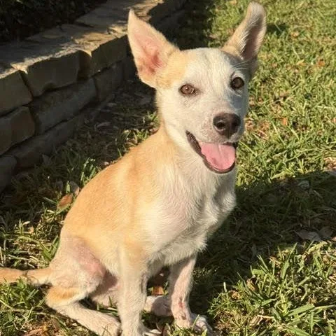 Benjamin thumbnail 2