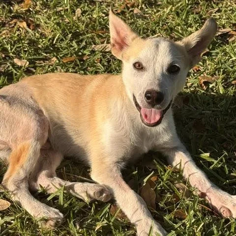 Benjamin thumbnail 3