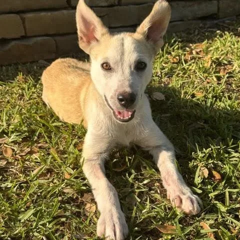 Benjamin thumbnail 4