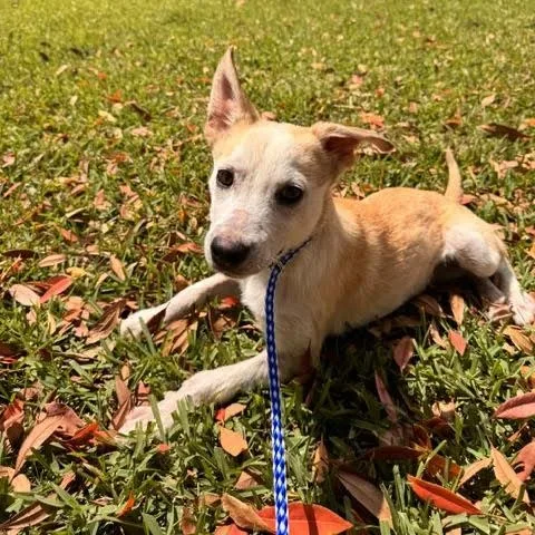 Benjamin thumbnail 6