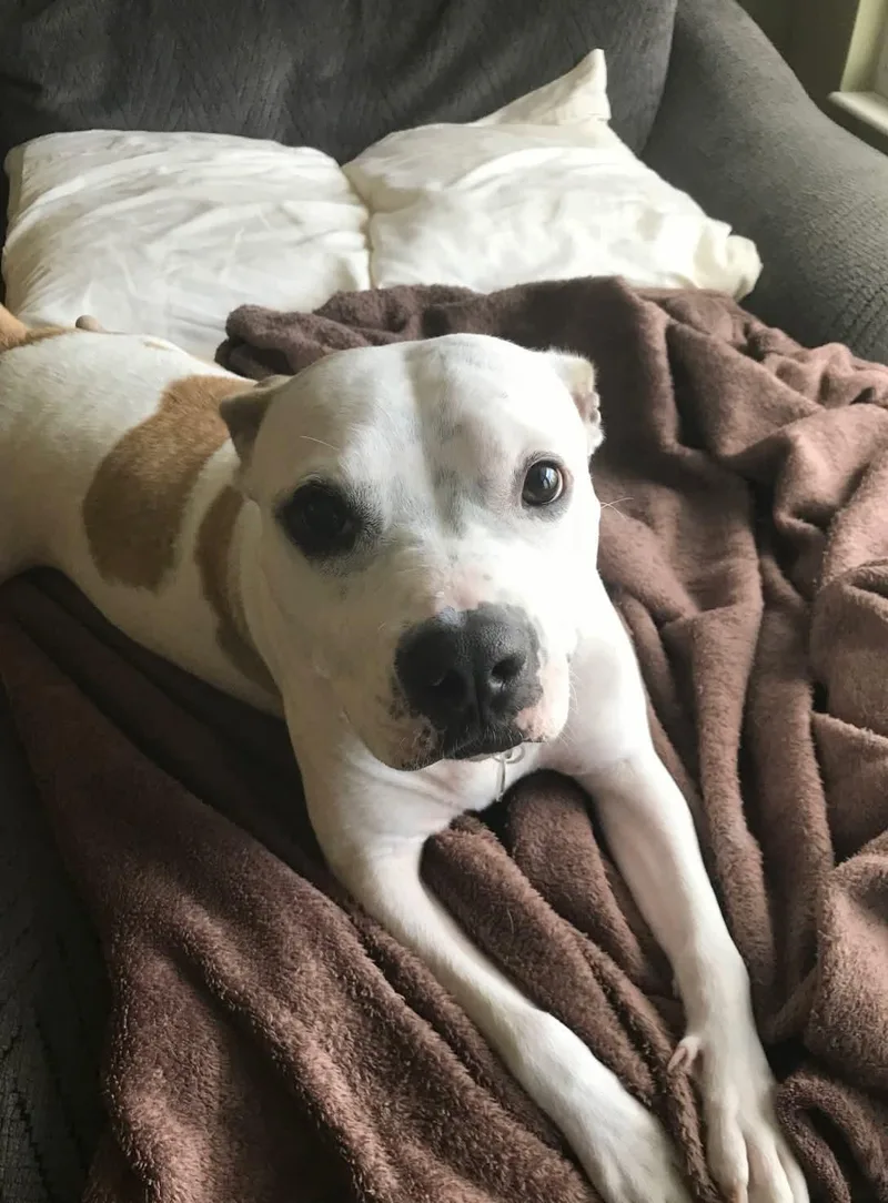 Harvey & Izzy thumbnail 2