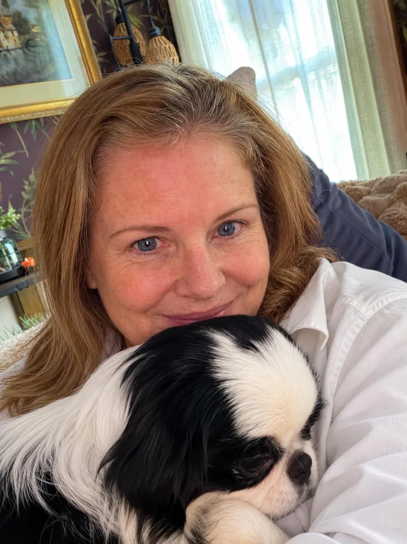 Japanese Chin Pups thumbnail 5
