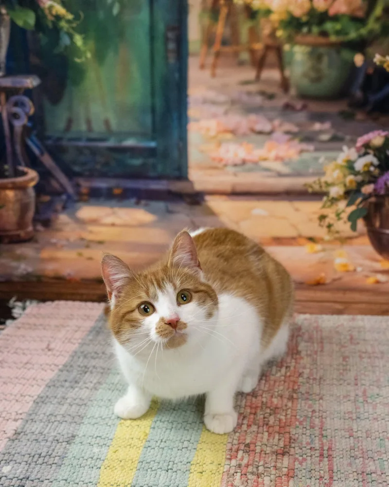 Tiberious thumbnail 2