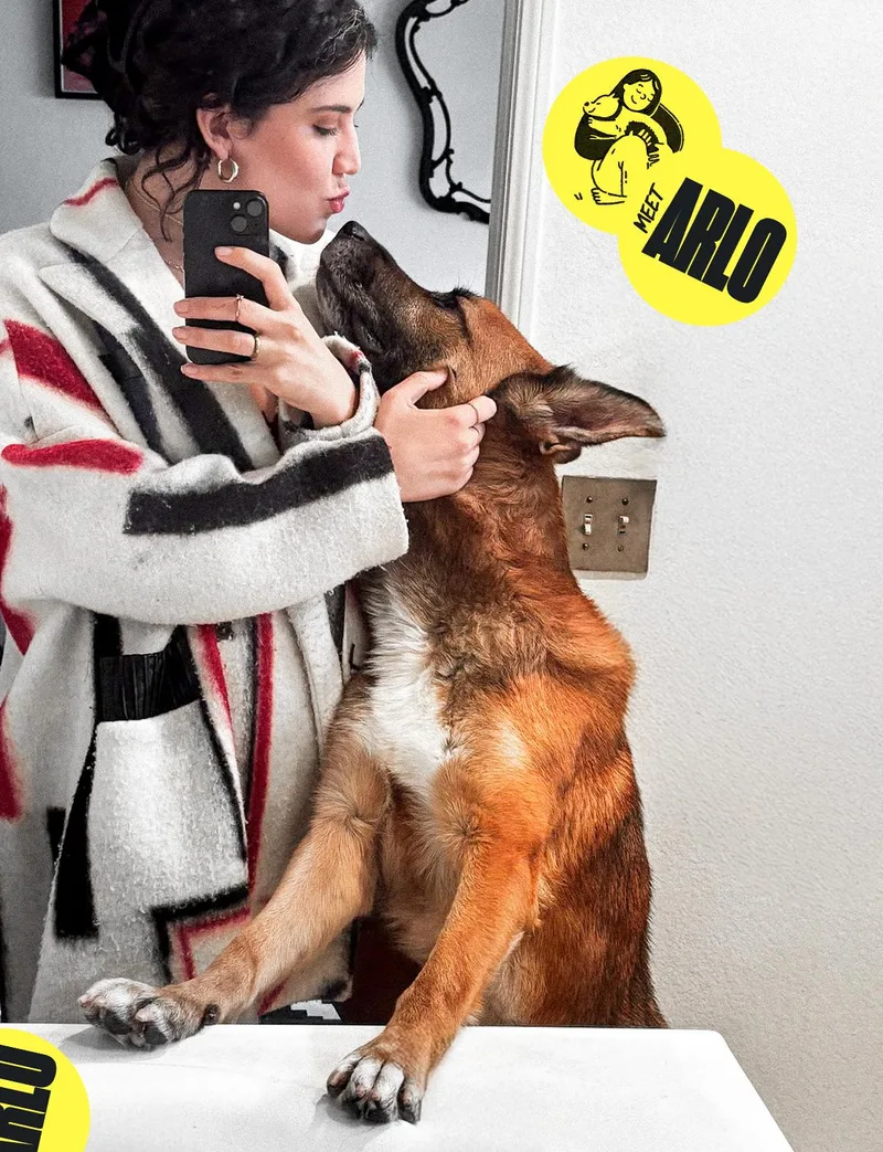 Arlo thumbnail 3