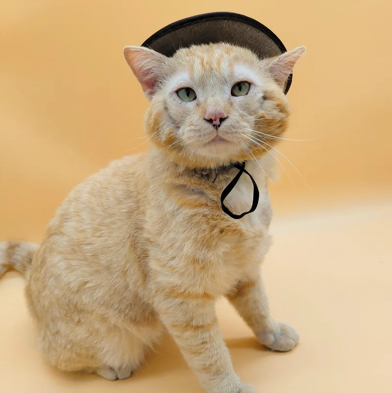 Dapper Dan thumbnail 5