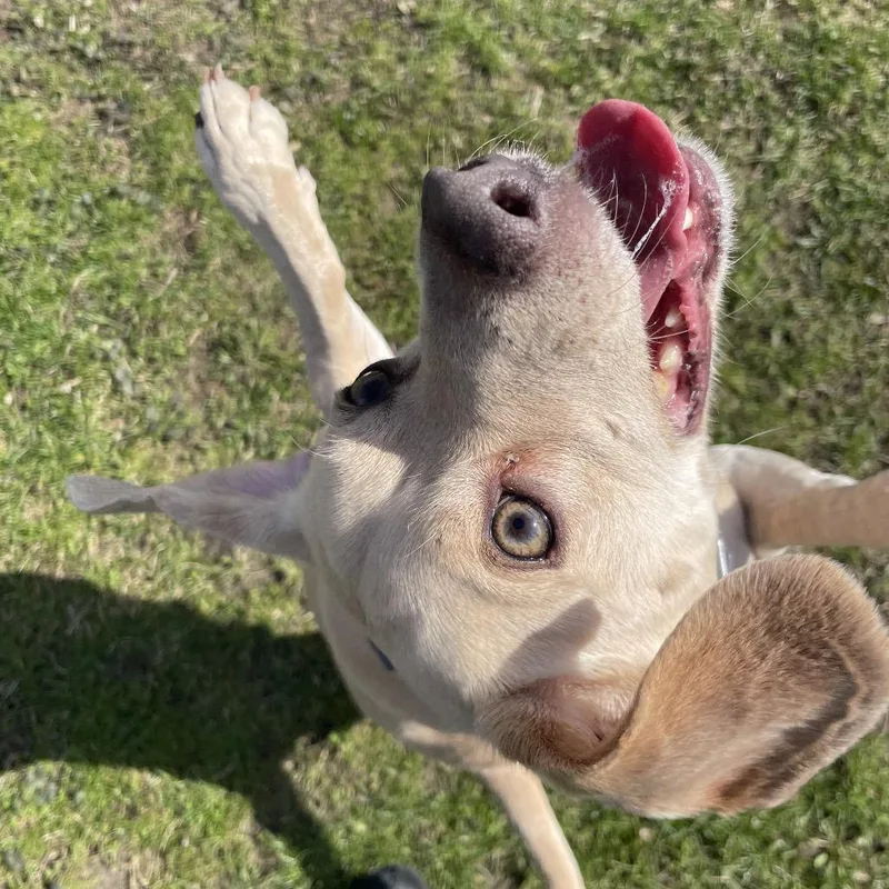 Winnie Winston thumbnail 4