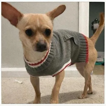 Peanut Butter thumbnail 2