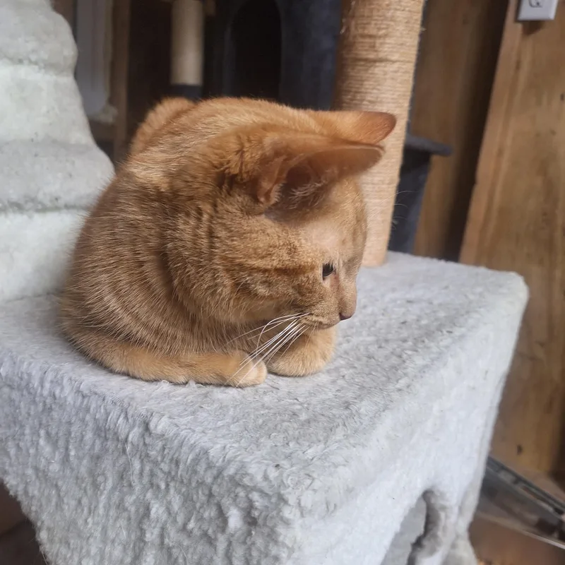 Rusty
