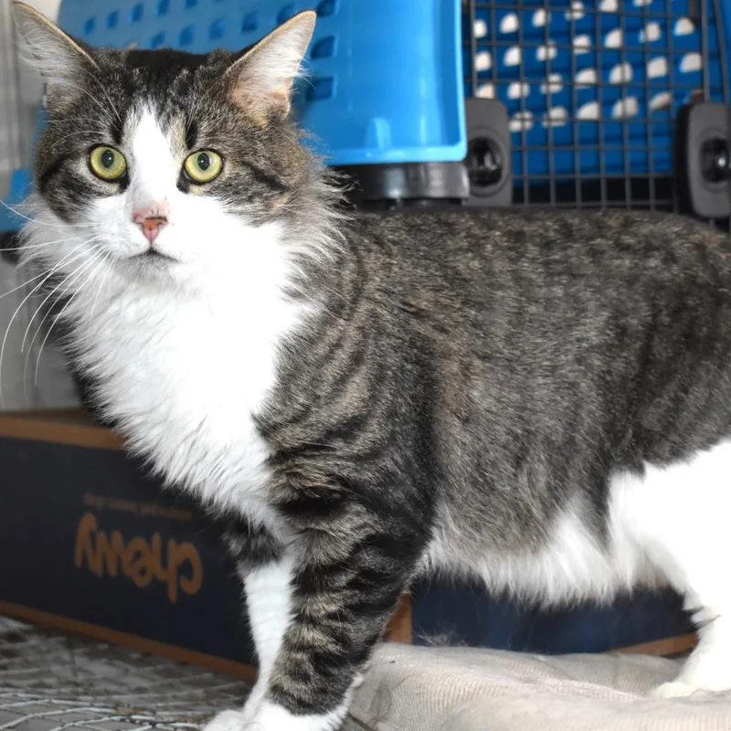 Oakley Sutherly thumbnail 2