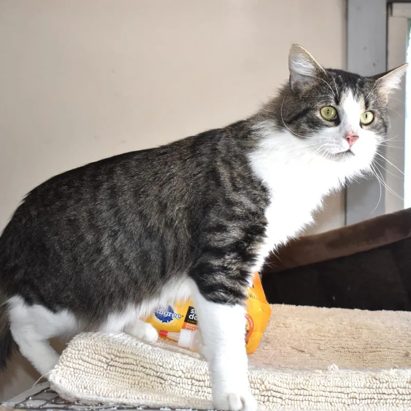 Oakley Sutherly thumbnail 3