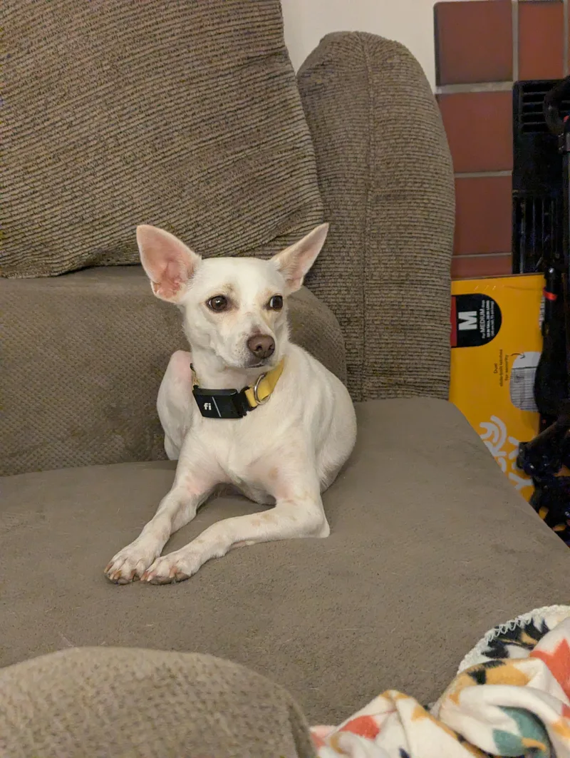 Janet thumbnail 2