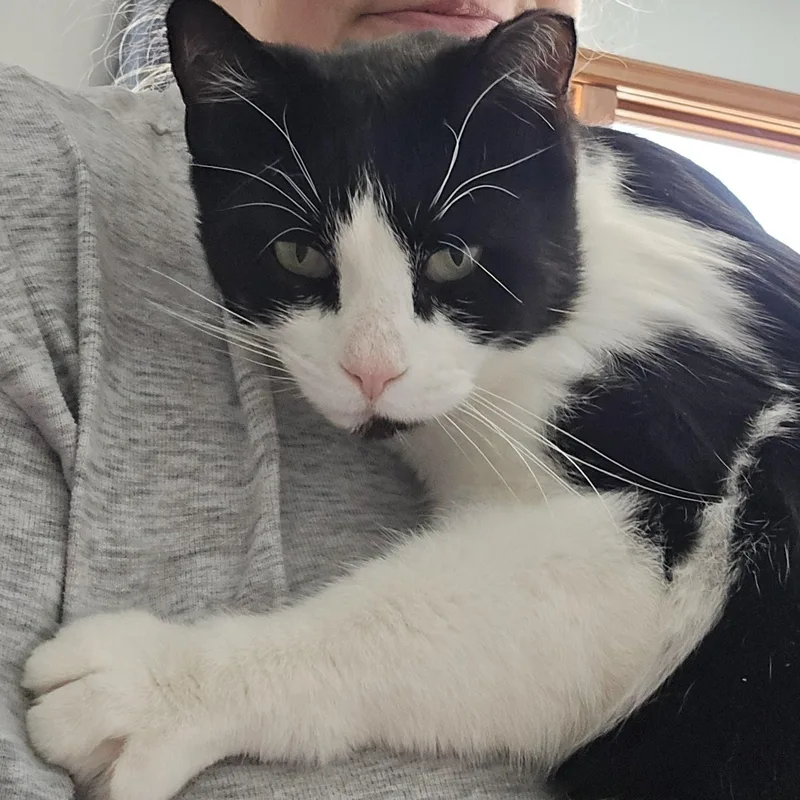 Boris