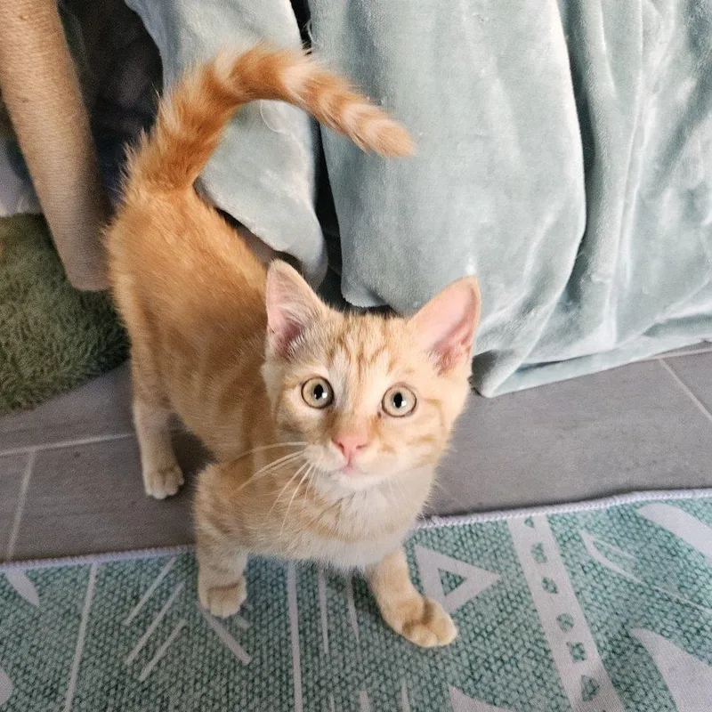 Buddy And Leo thumbnail 2