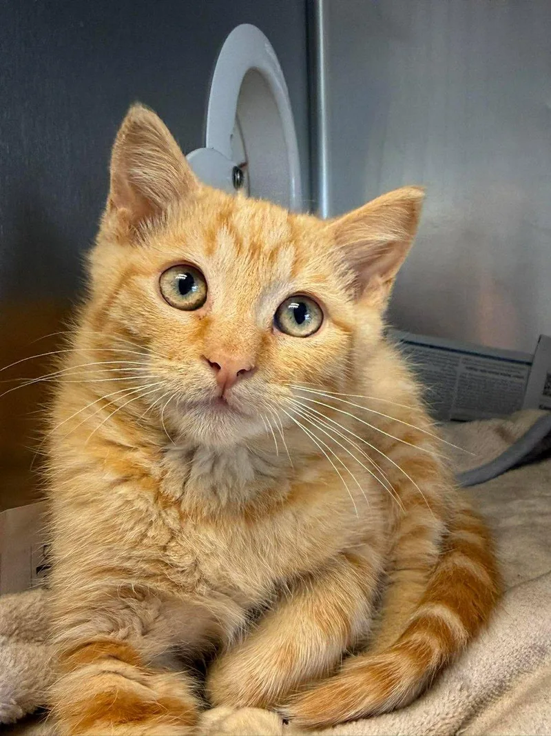 Buddy And Leo thumbnail 3