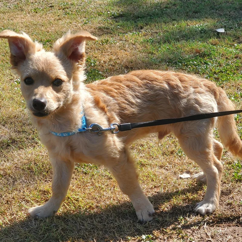 Luca thumbnail 3