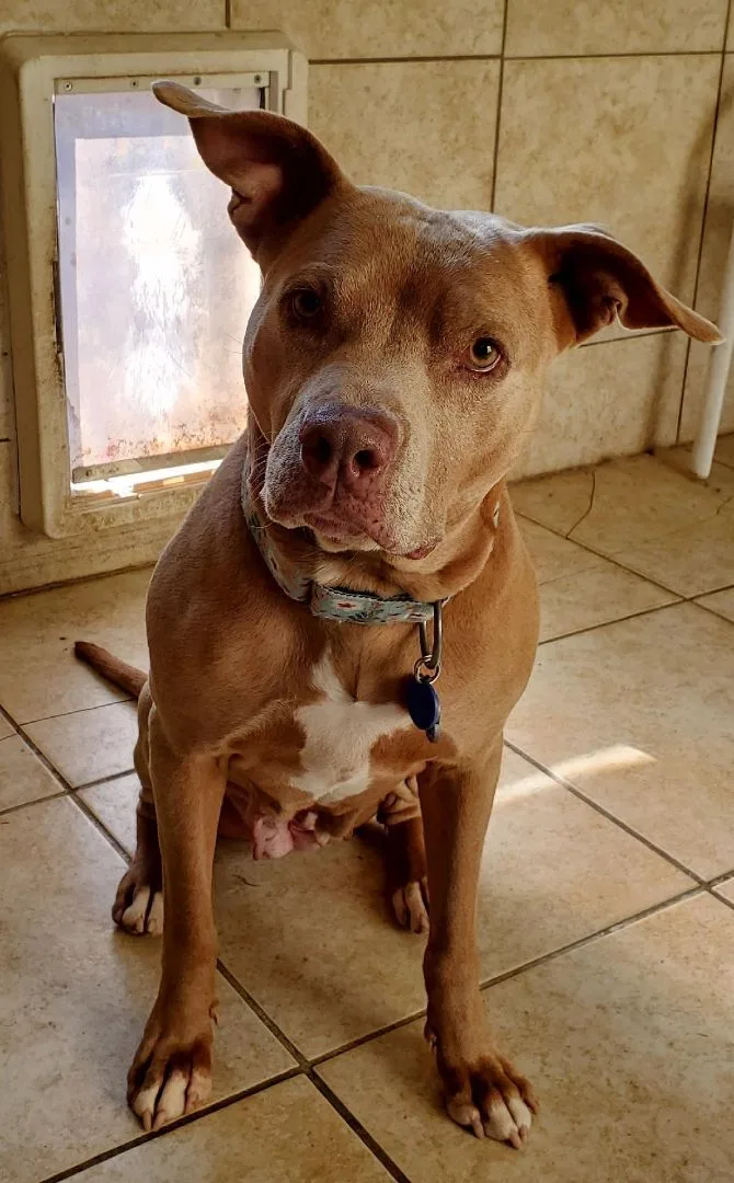 Ghurleigh thumbnail 2