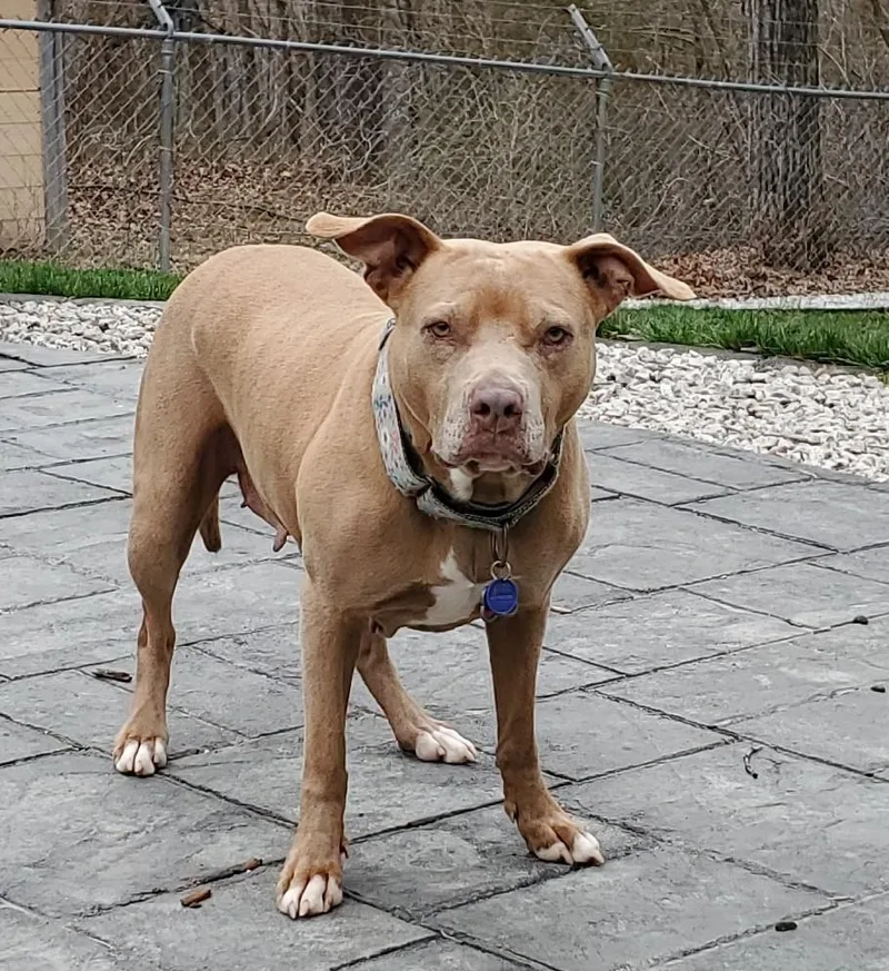 Ghurleigh thumbnail 3