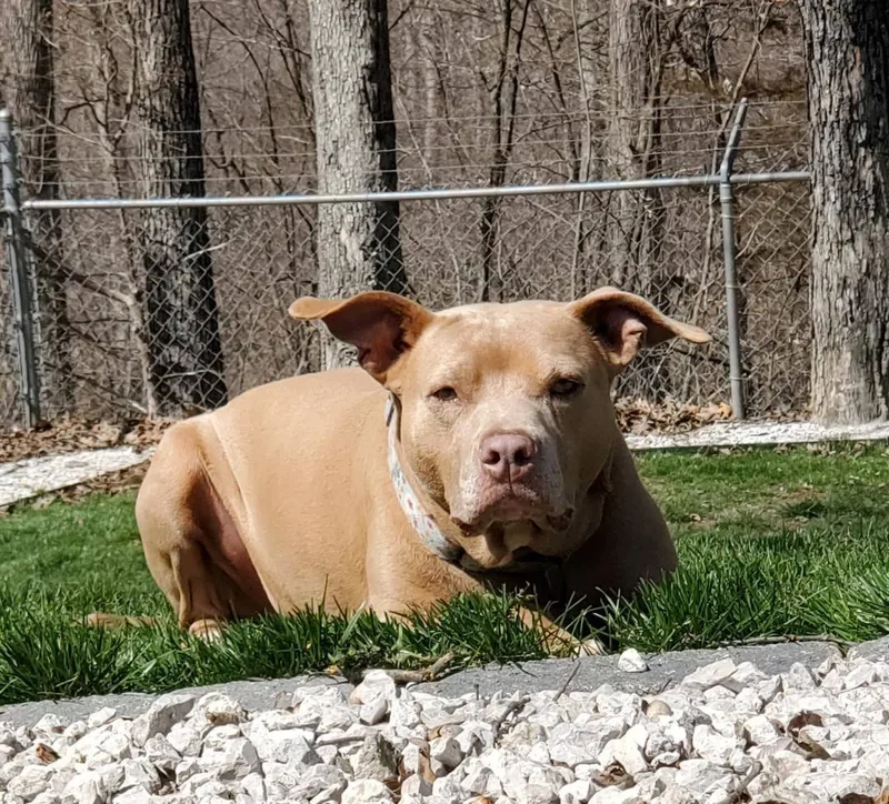 Ghurleigh thumbnail 4