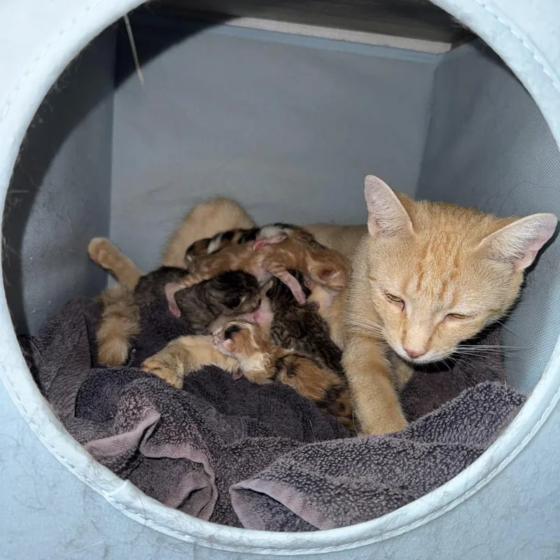 Easter thumbnail 2
