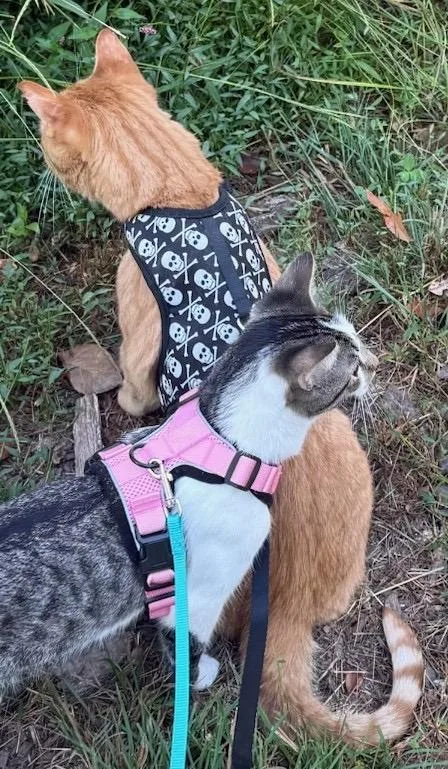 Charlie & Marky thumbnail 2