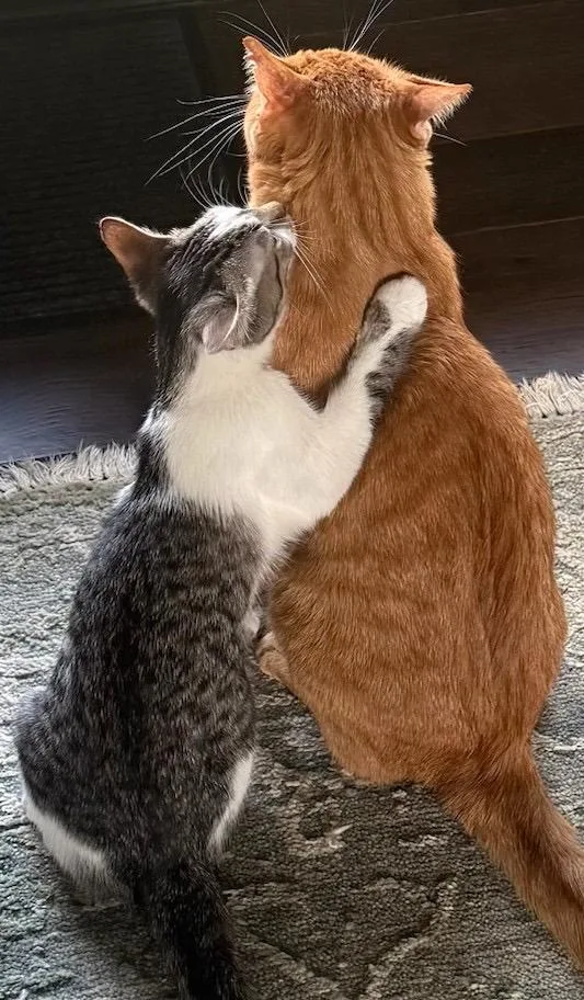 Charlie & Marky thumbnail 3