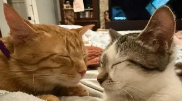 Charlie & Marky thumbnail 4