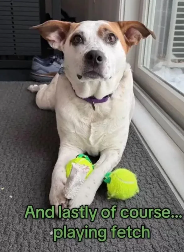 Boochie Tx thumbnail 2