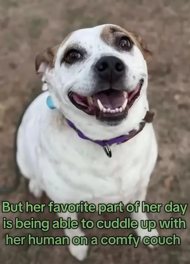 Boochie Tx thumbnail 3