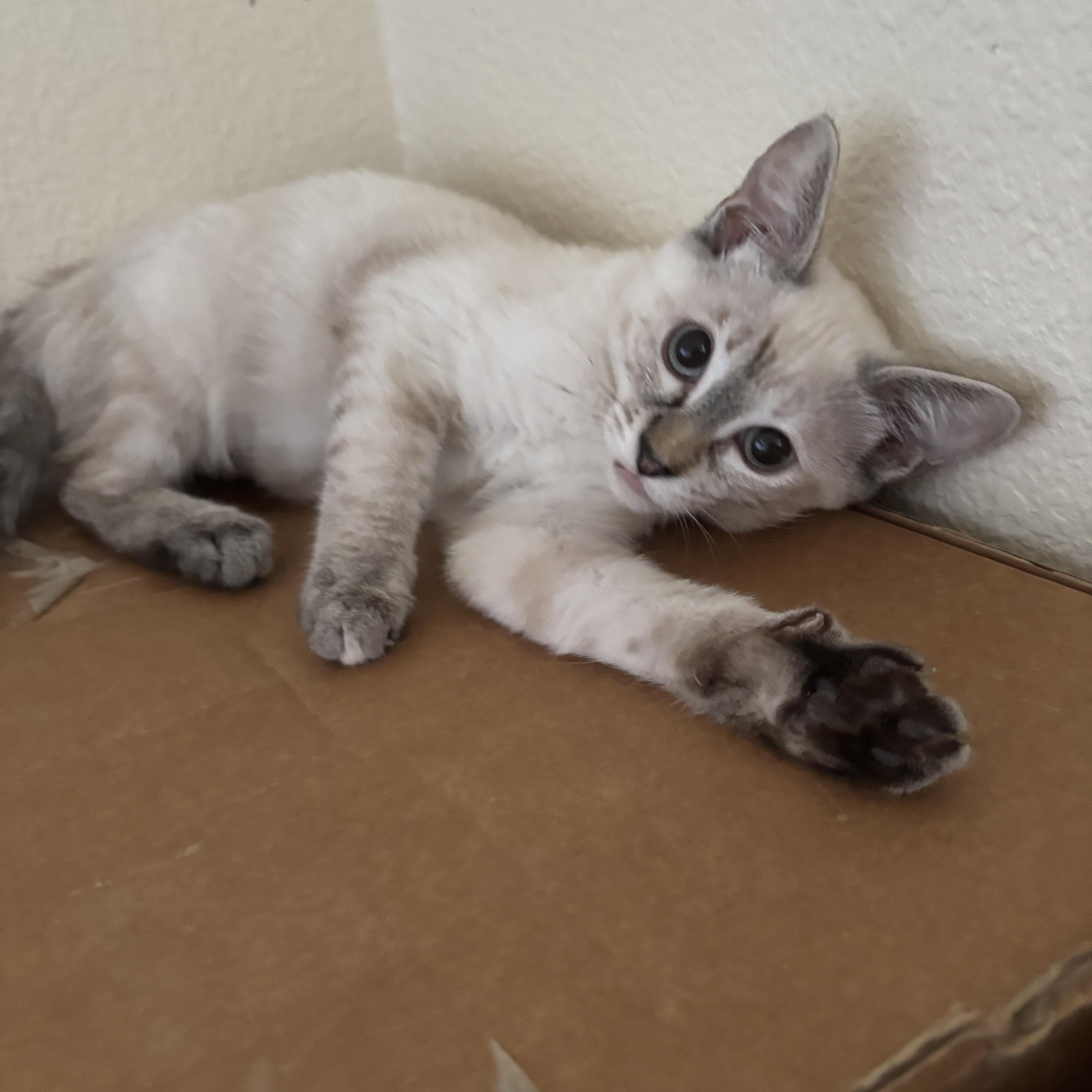 Luna