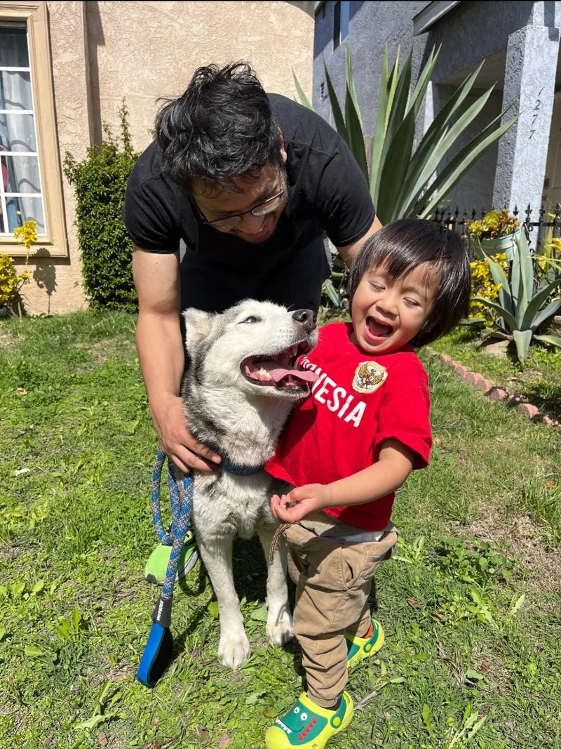 Princess Elsa! Mini Husky!